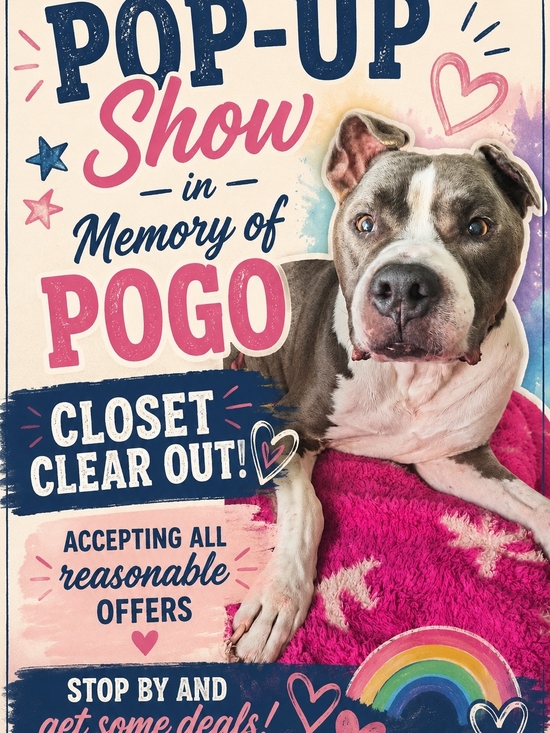 The Unbranded Brand Other - Pop-Up Memorial Show For Pogo